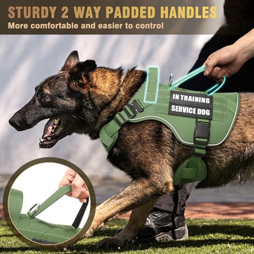 WINSEE Tactical Dog Harness for Large Dog, Heavy Duty Service Dog MOLLE Vest with 10 Pet Patches, No Pull Military Working Vest for Training Hunting Walking - Image 4