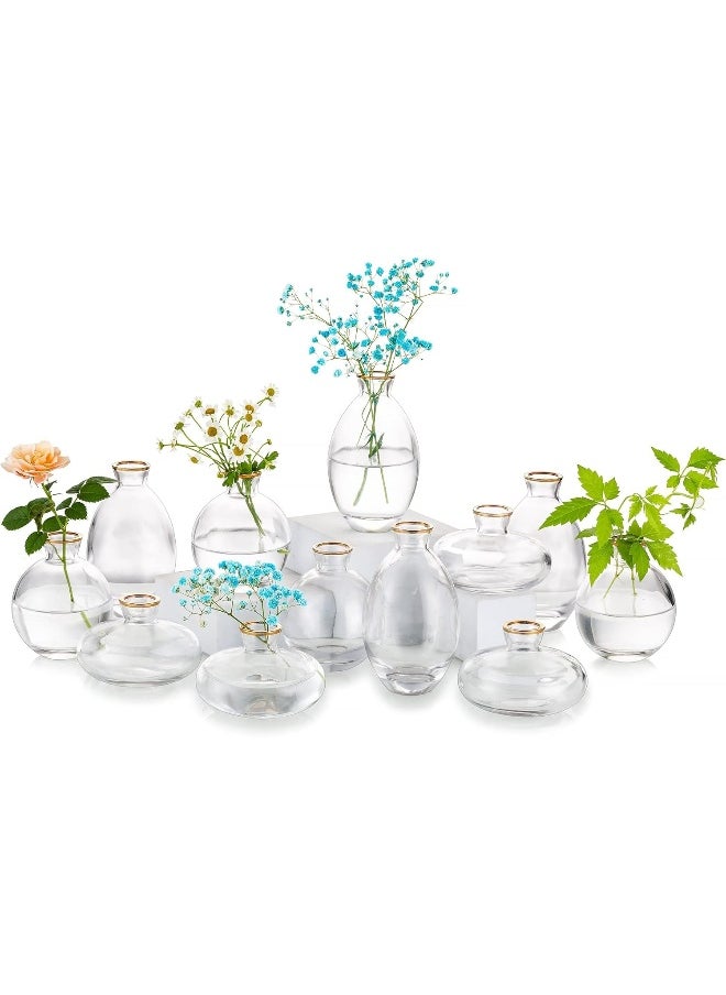 Glasseam Glasseam Glass Bud Vase for Centerpieces: 12Pcs Gold Rim Mini Small Vases for Flowers Bulk Flower Vase Set Aesthetic Cute Handmade Tiny Short Wedding Table Centerpiece Decor  - Image 1