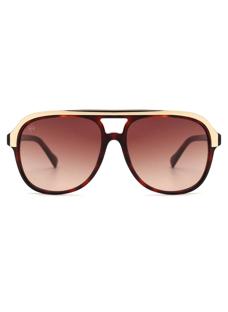 SOL.K Classic-K Sunglasses by Sol.K - Gradient Brown CR-39 Lenses, Havana Brown Acetate Frame, Stainless Steel Top Design, UV400 Protection - Image 1