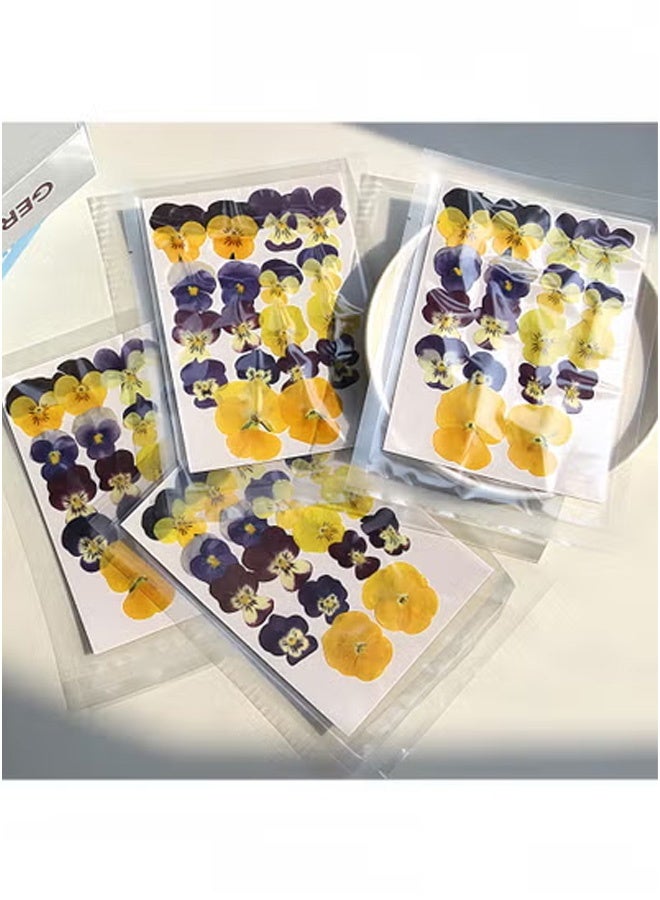 Peachjoy 18PCS Natural Dried Pressed Flowers Kit - Purple Pansy and Real Floral Decor for Resin Jewelry, Cakes, Candles DIY Crafts (Epoxy Art Supplies) - Image 2