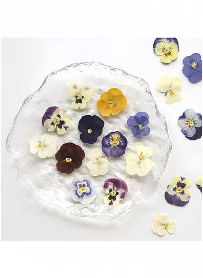 Peachjoy 18PCS Natural Dried Pressed Flowers Kit - Purple Pansy and Real Floral Decor for Resin Jewelry, Cakes, Candles DIY Crafts (Epoxy Art Supplies) - Image 1