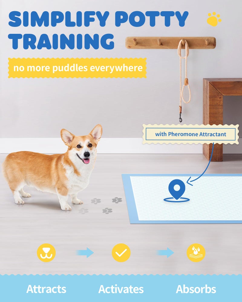 Powools 75-Pack XX-Large Puppy Pads - 38" x 28" Pee Pads for Dogs Potty Training with Leak-Proof Quick-Dry Design, 6-Layer Wee Wee Pads for Dogs, Blue - Image 2