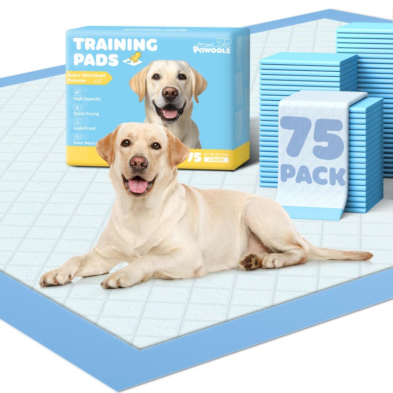 Powools 75-Pack XX-Large Puppy Pads - 38" x 28" Pee Pads for Dogs Potty Training with Leak-Proof Quick-Dry Design, 6-Layer Wee Wee Pads for Dogs, Blue - Image 1