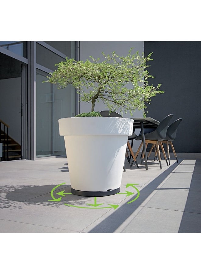 بروسبير بلاست حامل نباتات بمنصة متحركة مستدير رمادي داكن 29.8 x 25.7 x 29.8 سم IPMR300-S433 - Image 5