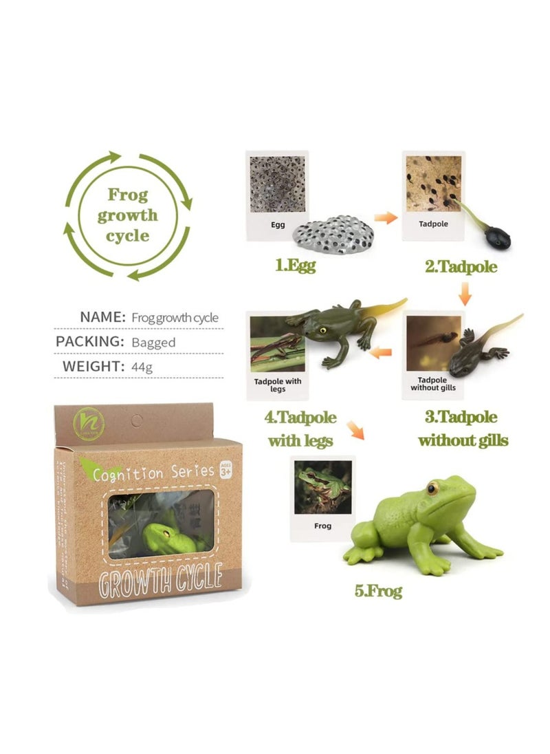 YelaJoy - Life Cycle Learning and Education Toys，Plastic Animal Toys Figurines for Frog, Butterfly, Ladybug,Plants Kit,Montessori Toys,Gift for Girl & Boy for 3 to 7 Year Old(4 pcs) - Image 1