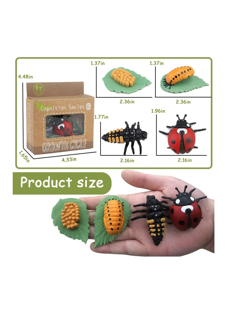 YelaJoy - Life Cycle Learning and Education Toys，Plastic Animal Toys Figurines for Frog, Butterfly, Ladybug,Plants Kit,Montessori Toys,Gift for Girl & Boy for 3 to 7 Year Old(4 pcs) - Image 1