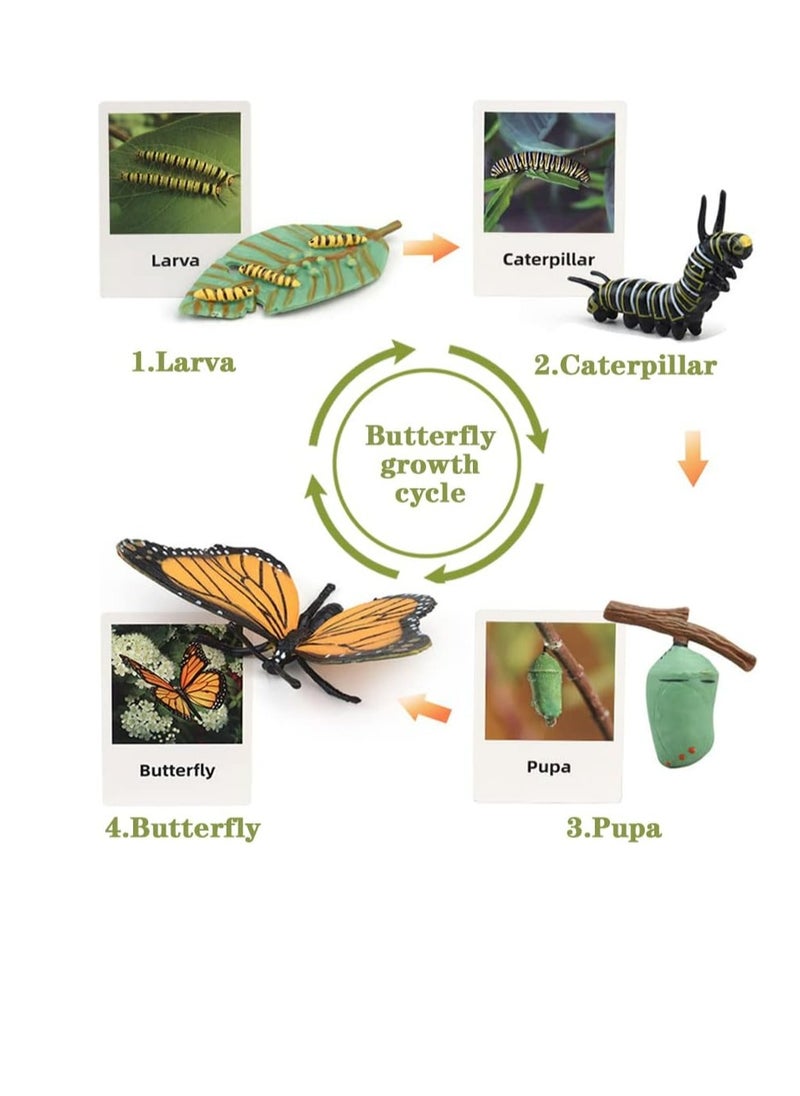 YelaJoy - Life Cycle Learning and Education Toys，Plastic Animal Toys Figurines for Frog, Butterfly, Ladybug,Plants Kit,Montessori Toys,Gift for Girl & Boy for 3 to 7 Year Old(4 pcs) - Image 1