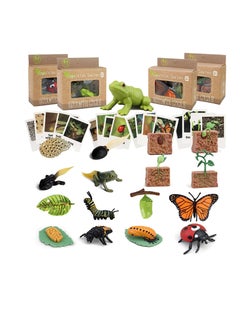 Life Cycle Learning and Education Toys，Plastic Animal Toys Figurines for Frog, Butterfly, Ladybug,Plants Kit,Montessori Toys,Gift for Girl & Boy for 3 to 7 Year Old(4 pcs)