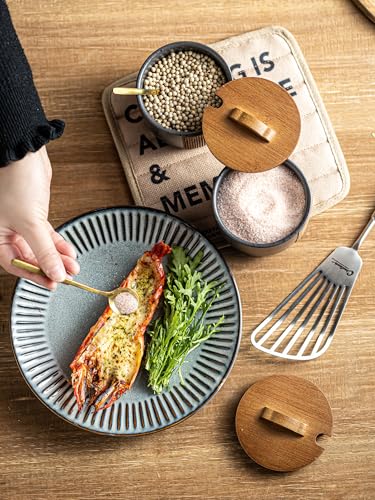 YHOJOY Salt Container for Countertop, Ceramic Salt Cellar with Lid & Spoon, Farmhouse Salt Bowl for Mother's Day, 10 OZ, Black - Image 5