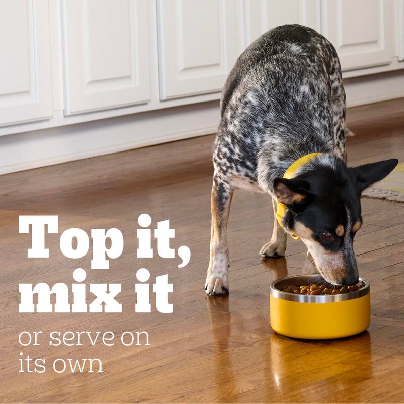 Pedigree Chopped Ground Dinner Wet Dog Food Filet Mignon & Beef Variety Pack, 13.2 oz. Cans (12 Count, Pack of 1) - Image 4