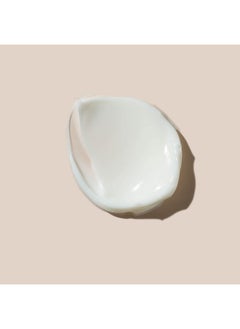 AHAVA AHAVA Dead Sea Plants Caressing Body Sorbet, Mandarin & Cedarwood - Hydrate & Refreshes Skin, Enhances Suppleness, Envelops in Energizing Sensation, with Osmoter, Bisabolol, Vitamin B5 & E, 11.8 Fl.Oz  - Image 3