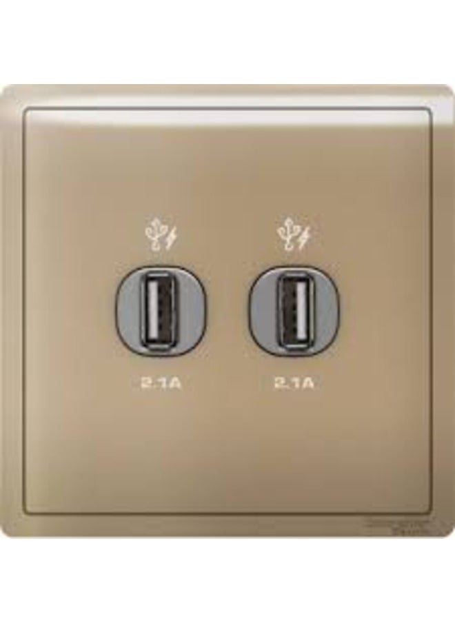 Schneider Electric Schneider Pieno 2 x 2.1A USB Charger - Wine Gold 