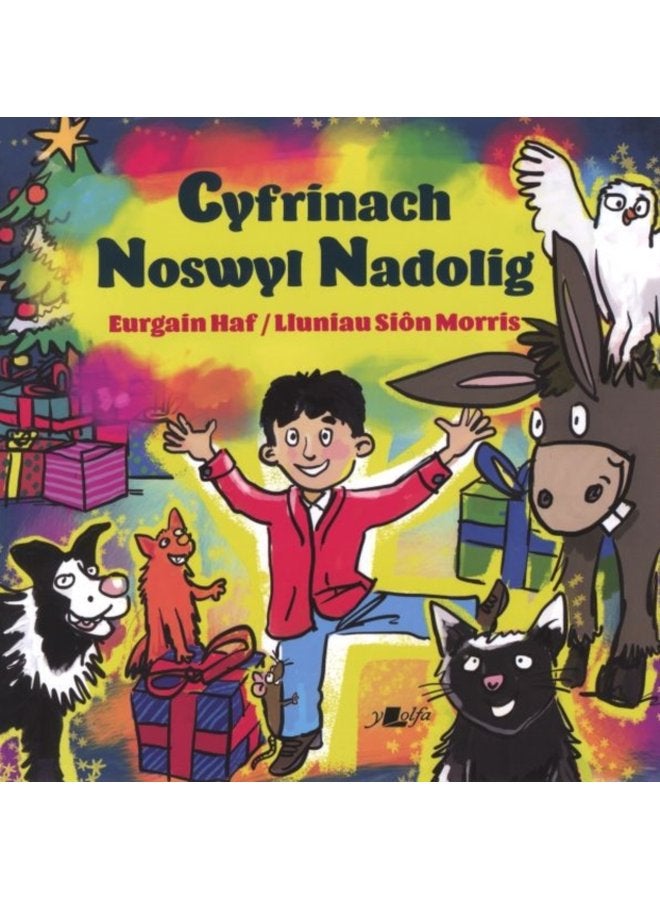 Cyfrinach Noswyl Nadolig - Paperback