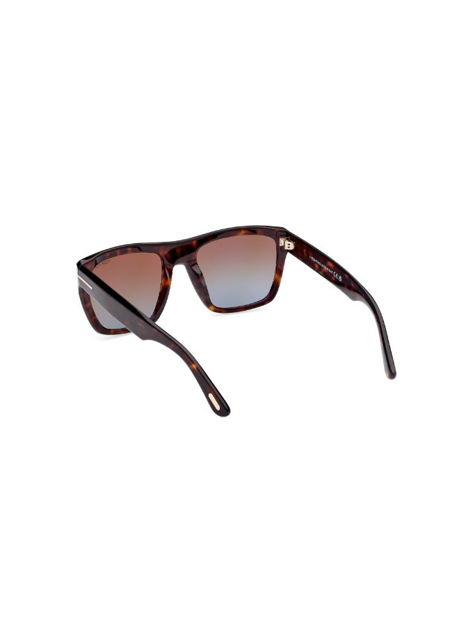 TOM FORD FULL RIM UV PROTECTION TOMFORD ACETATE SUNGLASSES FT107701N55 - Image 3