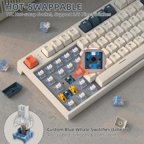 MAMBASNAKE ATTACK SHARK K86 Wireless Mechanical Keyboard with 1.2" TFT Color Display & CNC Knob,Hot Swappable RGB Backlit,2.4GHz/BT/Wired Modes,Customizable Blue Whale Switch,PBT Keycaps for WIN/MAC (Blue White) - Image 5