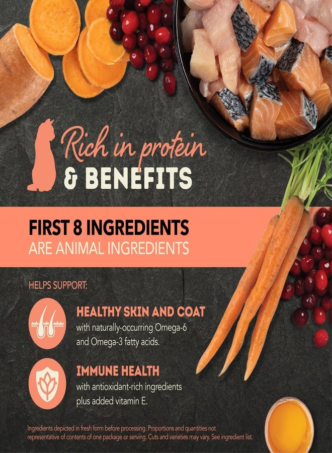 (أسنى) أكانا قطع في مرق طعام القطط الرطب بنكهة السلمون والدجاج، علب 5.5 أونصة (6 علب) - Image 3