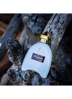 ADILQADRI AdilQadri The Professor Eau De Parfum Long Lasting And Spicy Fragrance Special For Men 100 ML  - Image 4