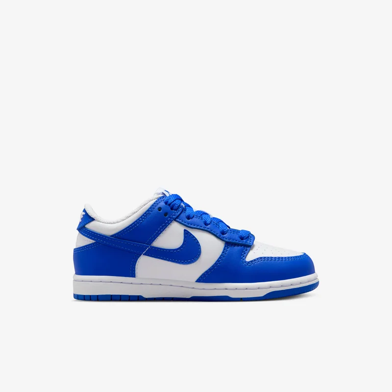 Nike Kids' Dunk Low Shoes