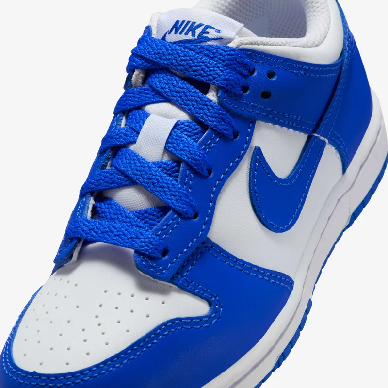 Nike Kids' Dunk Low Shoes