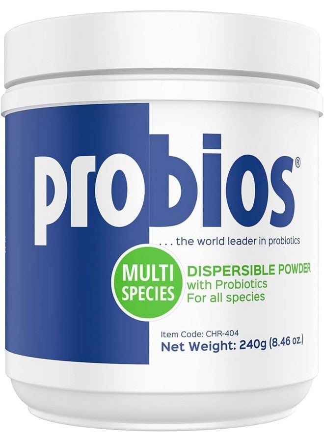 بروبيوس مسحوق فيت بلس الهضمي القابل للتشتت، 240 جرام - Image 1