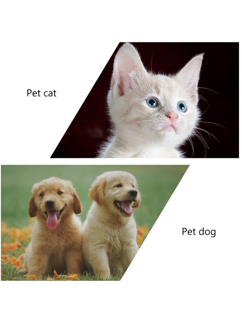 1 Rolls-1 pcs Dog PP Bags Pet Dog Supplies for Dogs, Extra Thick and Strong, 100% Leak Proof, Biodegradable Waste Bag - Image 2