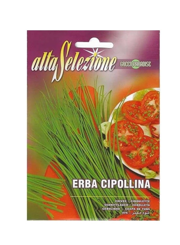 Alta Selezione Chives (Erba Cipollina) Premium Quality Seeds By Franchi "Garden Care"