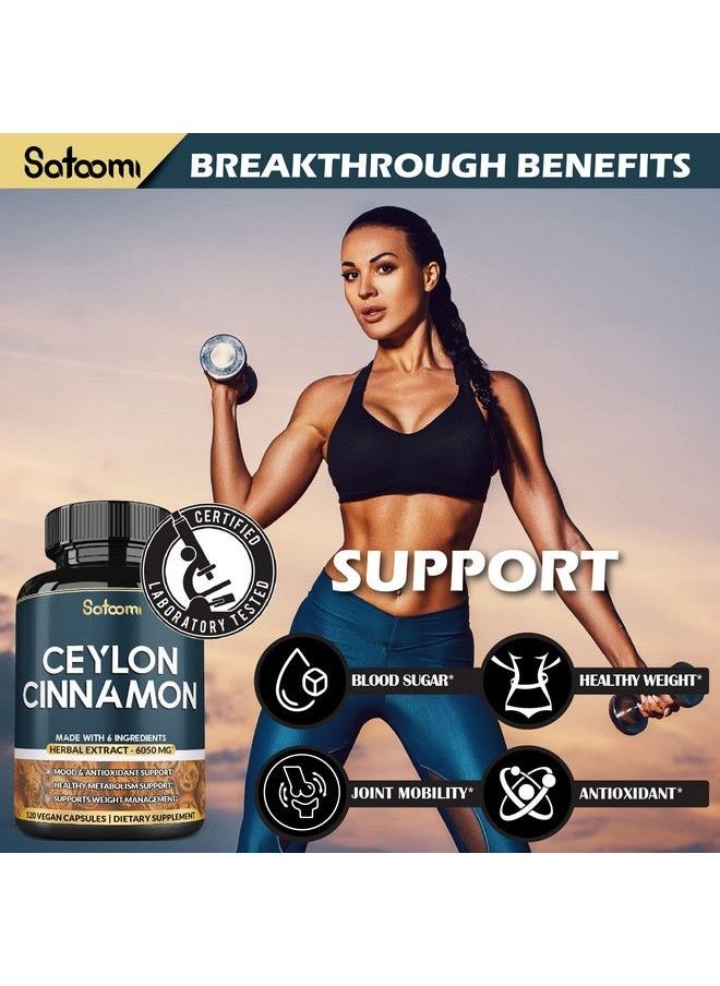 Satoomi - 6 In 1 Ceylon Cinnamon Capsules 6050Mg *4 Month Supply* Extra With Apple Cider Vinegar Turmeric Ginger Panax Ginseng Energy And Body Balance Support Supplement 120 Vegetarian Cinnamon Pills - Image 1