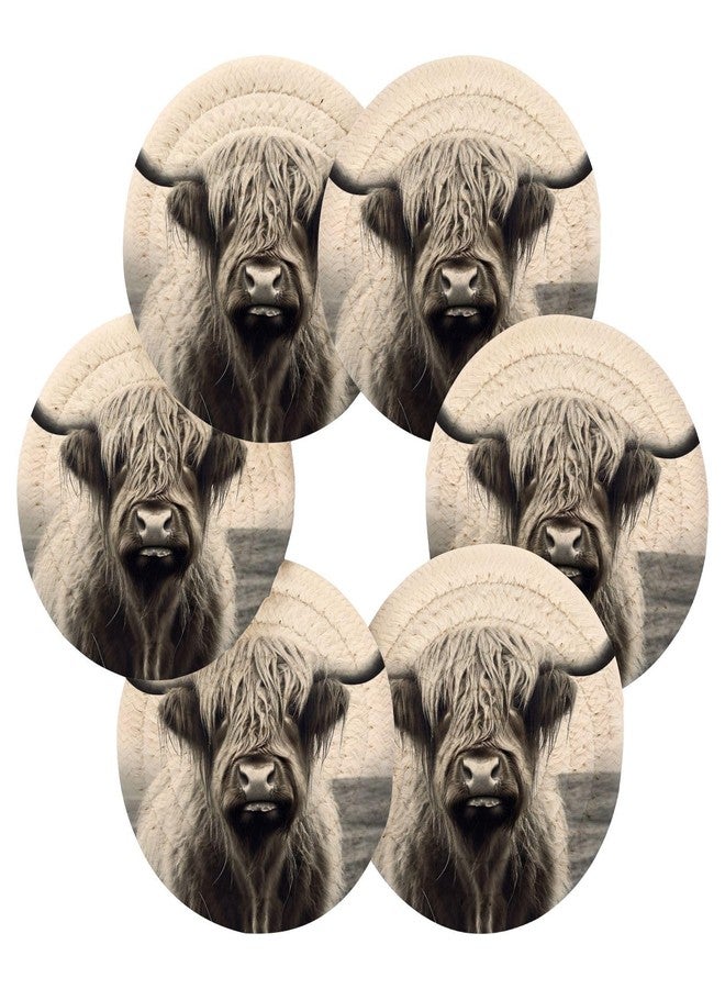 SDMKA Highland Cow Grey 6 Pcs Cotton Woven Coasters with Holder - 3.9 Inch Absorbent Drink Coasters - Ideal Cup Coasters for Coffee Table Protection - Image 2