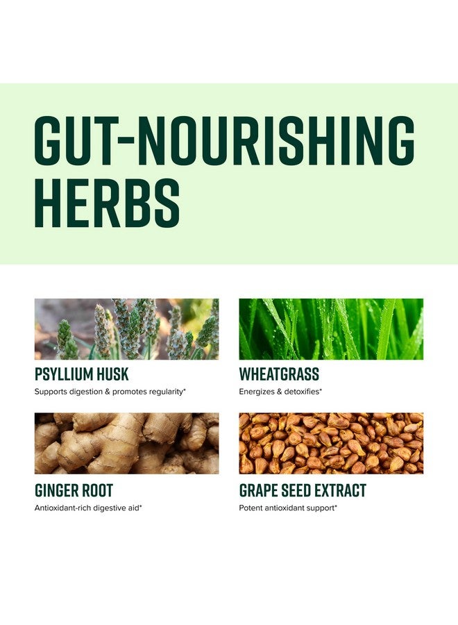 Vibrant Health, Digestive Vibrance, Probiotic Powder Reinvented with Special Ingredients, 100 Billion Probiotics Per Serving, 14 Servings - Image 3