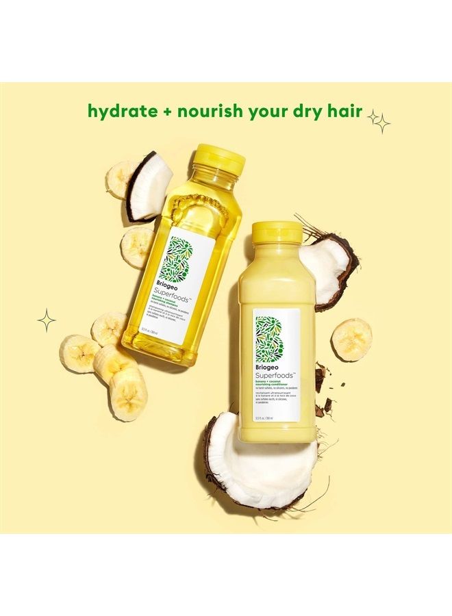 Briogeo Superfoods Banana + Coconut Nourishing Conditioner, Replenish Dull, Dry Hair and Supports Healthy Hair and Scalp, Vegan, Phalate & Paraben-Free, 12.5 Ounces - Image 3