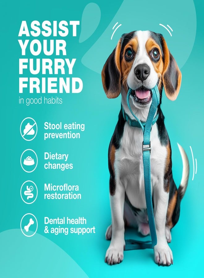 CHEWIA No Poo Chews for Dogs - Coprophagia Deterrent - Dog Probiotics for Digestive Health with Enzymes - Canine Stool Eating Deterrent - Digestive, Dental, Gut & Immune Health Treats - No Poop Eating - Image 4