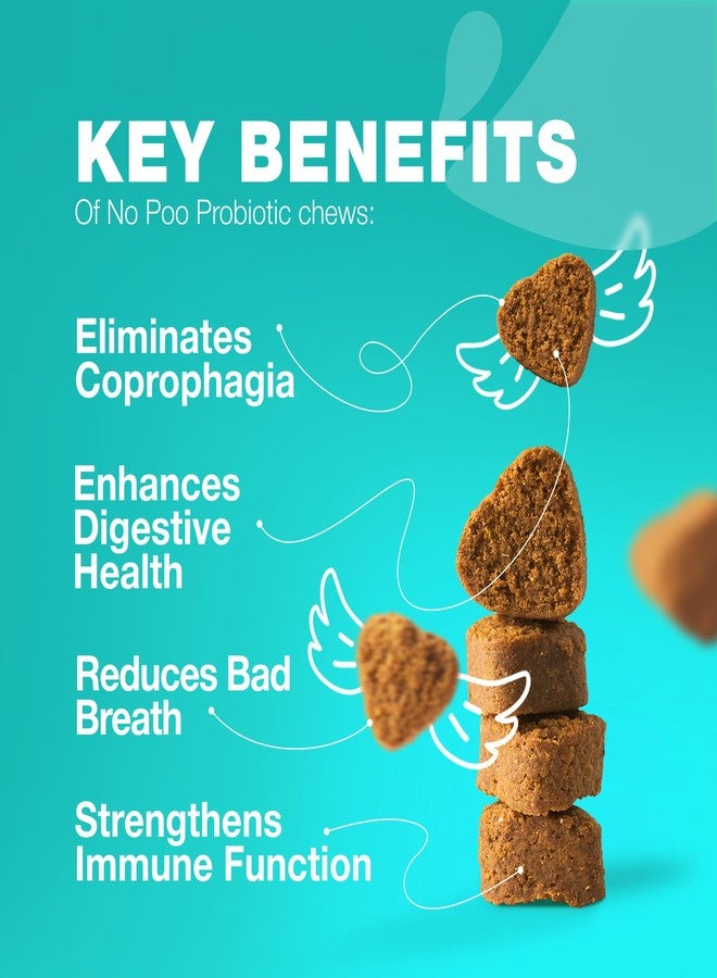 CHEWIA No Poo Chews for Dogs - Coprophagia Deterrent - Dog Probiotics for Digestive Health with Enzymes - Canine Stool Eating Deterrent - Digestive, Dental, Gut & Immune Health Treats - No Poop Eating - Image 3