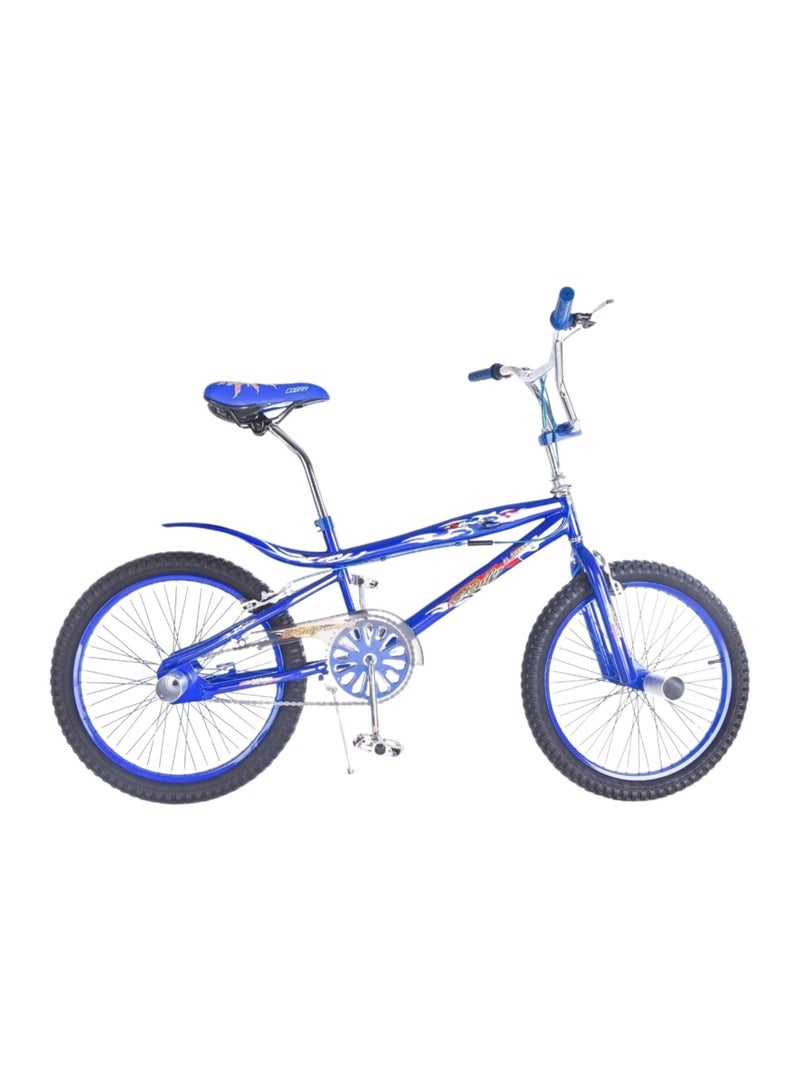 Rally Metallic Bicycle With Disc Brakes Size 20