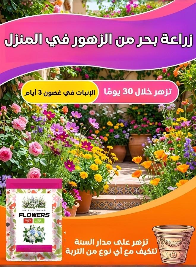 Four Seasons Flowers and Plants Seeds Set（6 packs） - Image 1