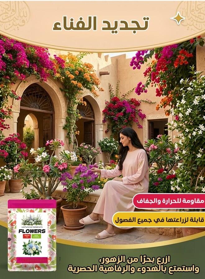 Four Seasons Flowers and Plants Seeds Set（6 packs） - Image 2