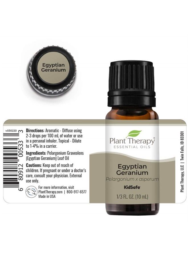 Plant Therapy Egyptian Geranium Essential Oil 100% Pure, Undiluted, Natural Aromatherapy, Therapeutic Grade 10 mL (1/3 oz) - Image 4