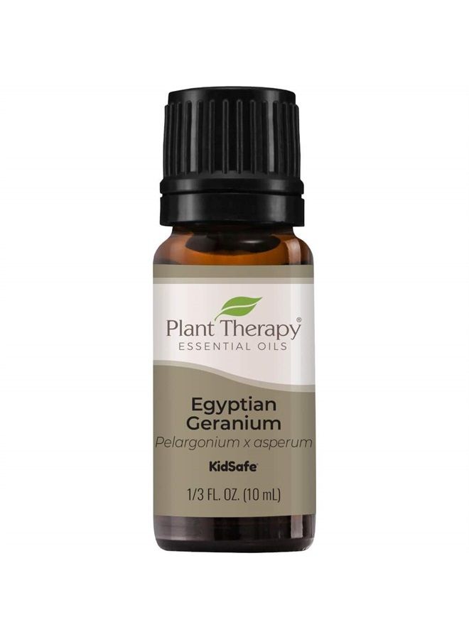 Plant Therapy Egyptian Geranium Essential Oil 100% Pure, Undiluted, Natural Aromatherapy, Therapeutic Grade 10 mL (1/3 oz) - Image 1