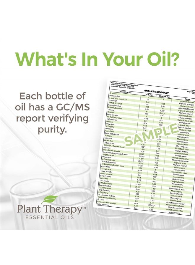 Plant Therapy Egyptian Geranium Essential Oil 100% Pure, Undiluted, Natural Aromatherapy, Therapeutic Grade 10 mL (1/3 oz) - Image 3