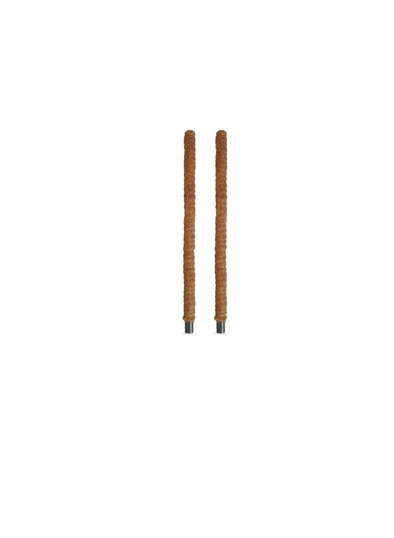 ritaj Moss Stick for Plant Support Extension, Climbing Indoor Plants | 100 cm | 2 Pack - Image 3