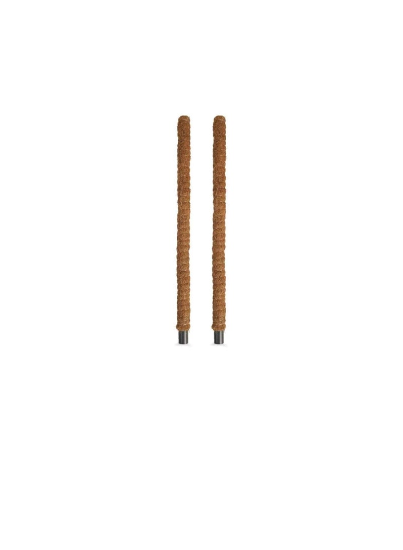 ritaj Moss Stick for Plant Support Extension, Climbing Indoor Plants | 100 cm | 2 Pack - Image 2