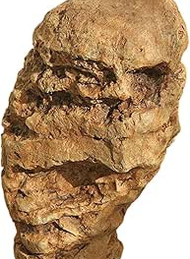 تزيين حديقة الصخور الاصطناعية المناظر الطبيعية حجر زائف للمنتزه الفناء الخلفي 18x14x26 سم - Image 1