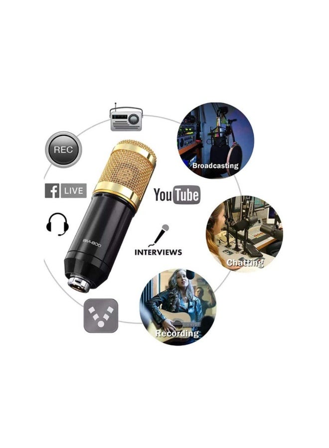 Condenser Microphone BundleMic Kit with Live Sound Card, Adjustable Mic Suspension Scissor Arm BM8006 Gold - Image 3
