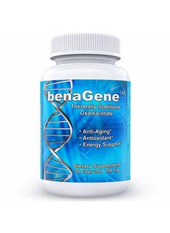 Thermally Stabilized Oxaloacetate Antiaging Supplement