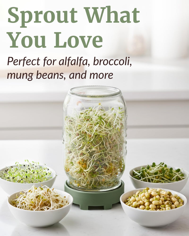 Elementi Sprouting Jar Kit - Set of 2 Wide Mouth Mason Jars with Sprout Lids & Stainless Steel Mesh Screen - Seed Sprouting Kit & Sprout Jars for Growing Broccoli Sprouts, Alfalfa, Mung Bean Sprouter - Image 5