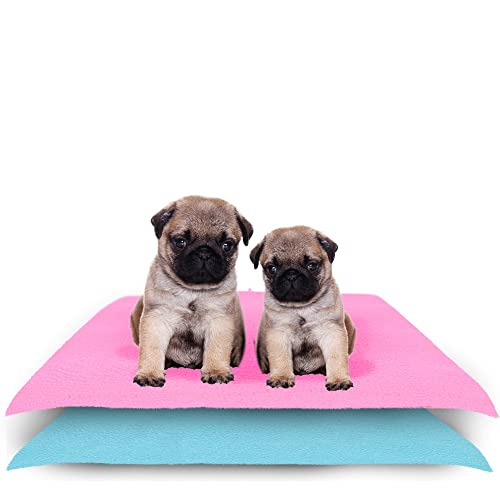 Amorite Reusable Dog Pee Pads 70 X 50 Pink + Sea Blue Pack of 2 (Small) | Pee Mat for Dogs and Cats | Leakproof Dog Training Mat | Pet Floor Protection Pad | Non-Slip Pee Mat for Dogs and Puppies - Image 1
