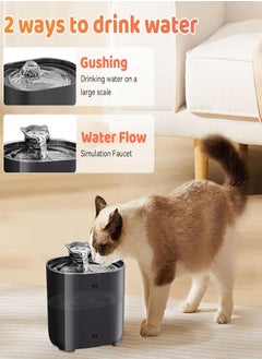 XVersion Cat Water Fountain,  2.2 Litter Pet Fountain with Water Filter, Automatic Pet Water Drinking Bowl Quiet for Cats, Dogs, Multiple Pets (Black)  - Image 4