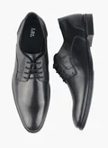 ال بي ال من شو اكسبرس BLACK