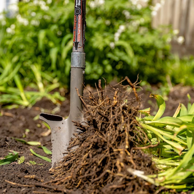 Root Slayer 23311, Perennial Shovel, Red - Image 3