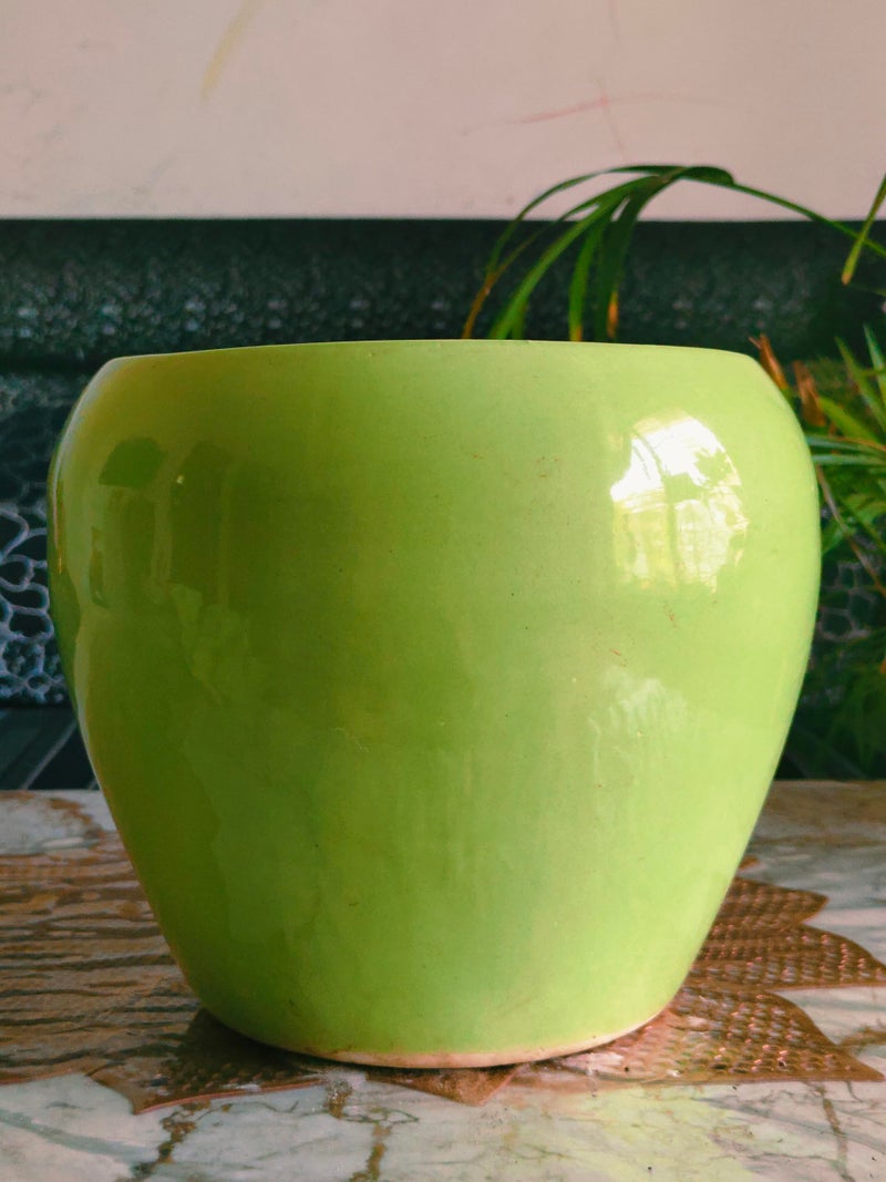 Niyara Stylish Ceramic Pots for Indoor Plants,Succulent,Outdoor,Balcony,Home,Garden,Office Size -Large 8 inches (Green) - Image 3