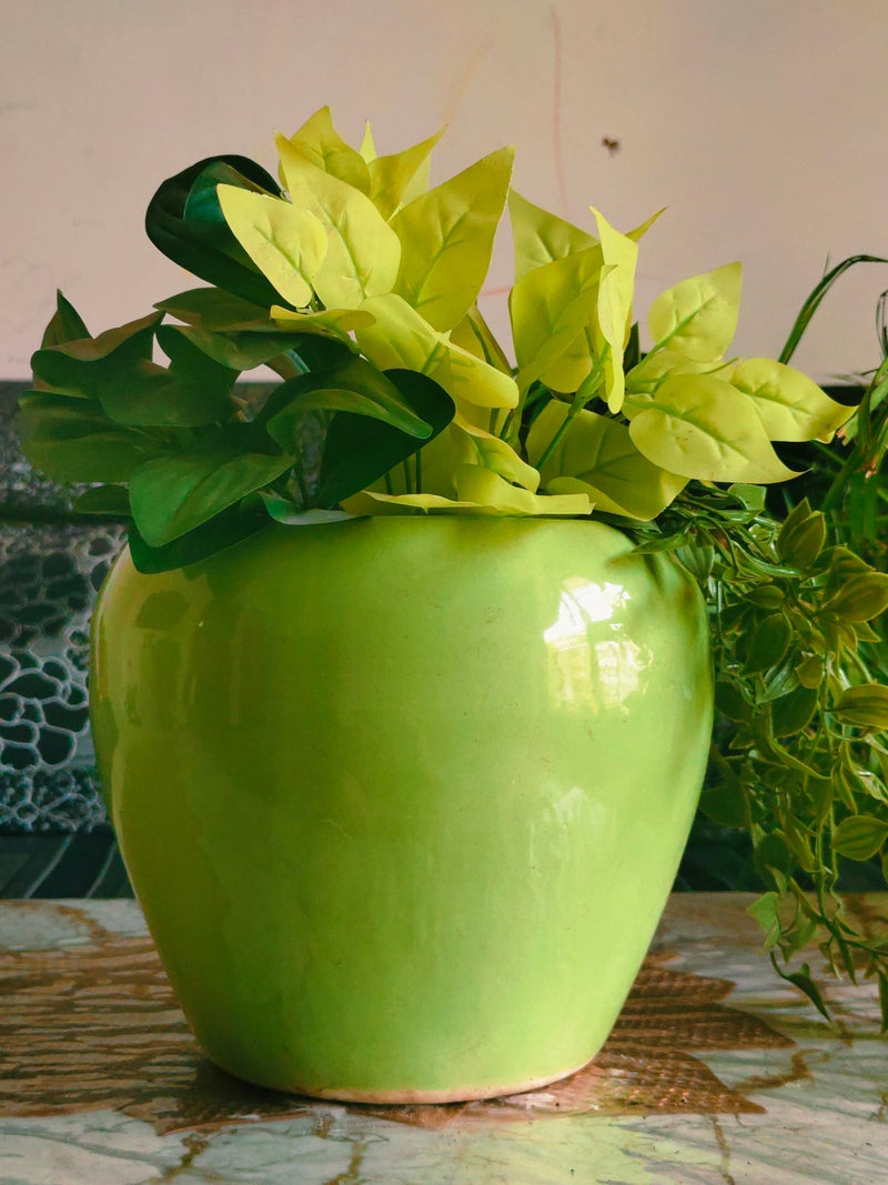 Niyara Stylish Ceramic Pots for Indoor Plants,Succulent,Outdoor,Balcony,Home,Garden,Office Size -Large 8 inches (Green) - Image 1